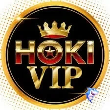 Logo hokivip